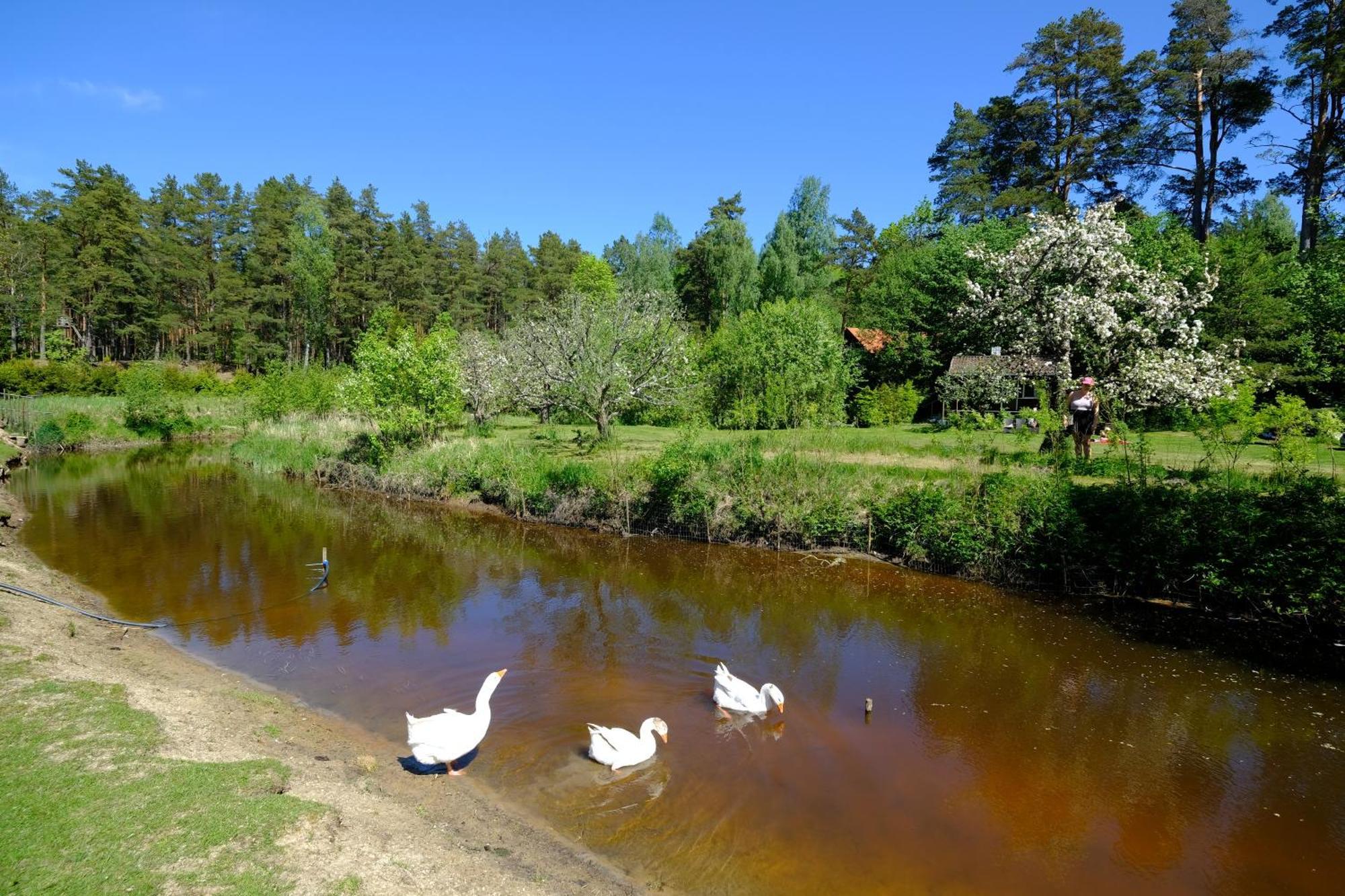 Kallaste Talu- Turismitalu & Holiday Resort Padise Zewnętrze zdjęcie